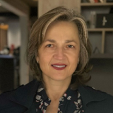 Prof. dr. Amna Pleho-Kapić